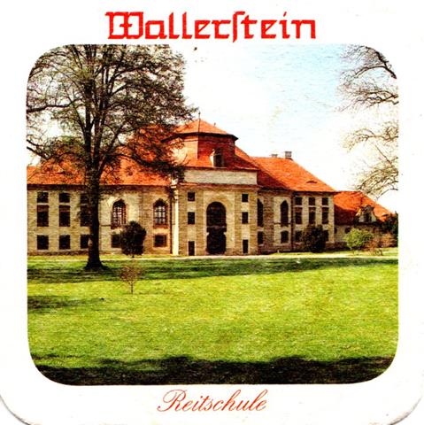 wallerstein don-by frst hist bau 2b (quad185-reitschule)